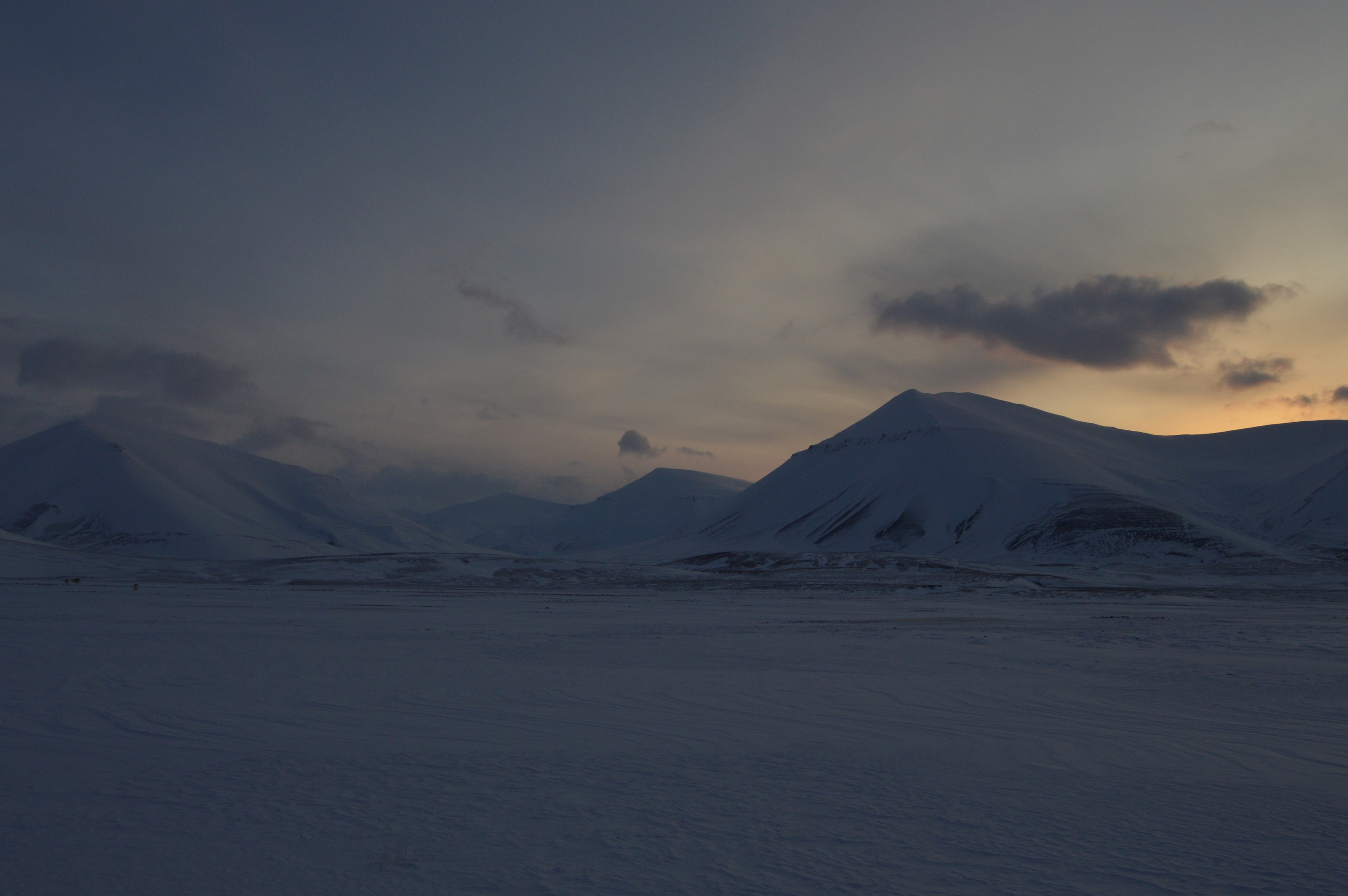 Svalbard nature